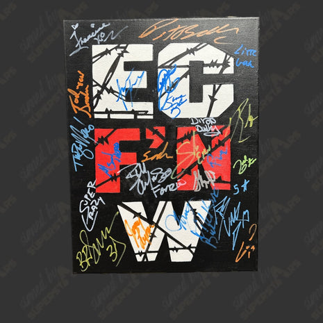 EC FN W multi signed 12x16 Hand Painted Canvas Art