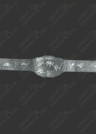 Multi-signed (WWE) ECW Champion Replica Belt (12 signatures!)