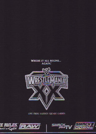 Multi-signed 2004 WWE Hall of Fame Program