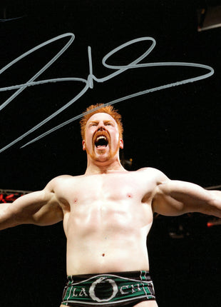 Sheamus signed 8x10 Photo