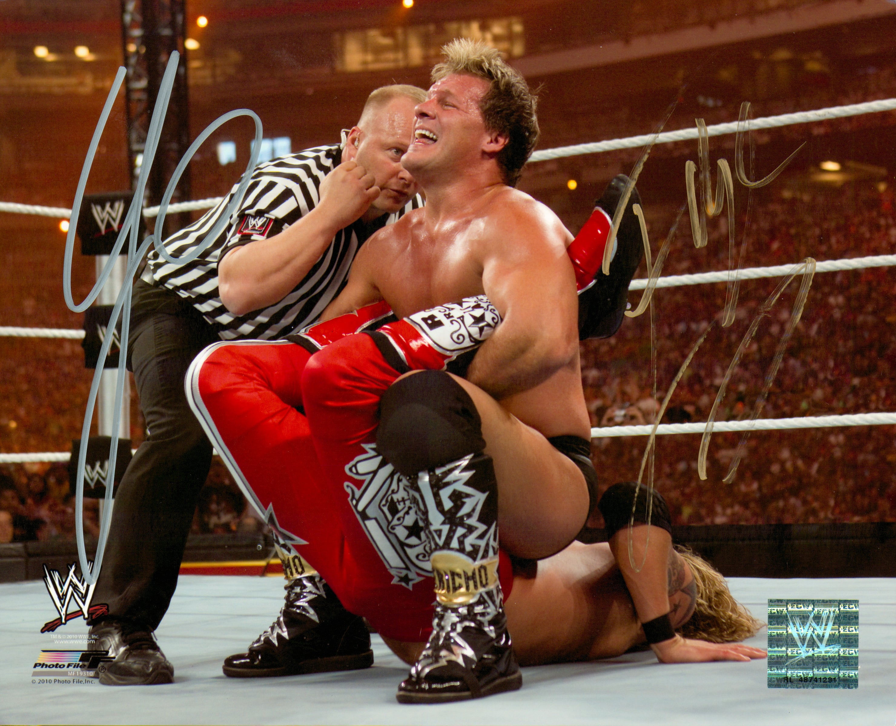 Chris Jericho Walls Of Jericho