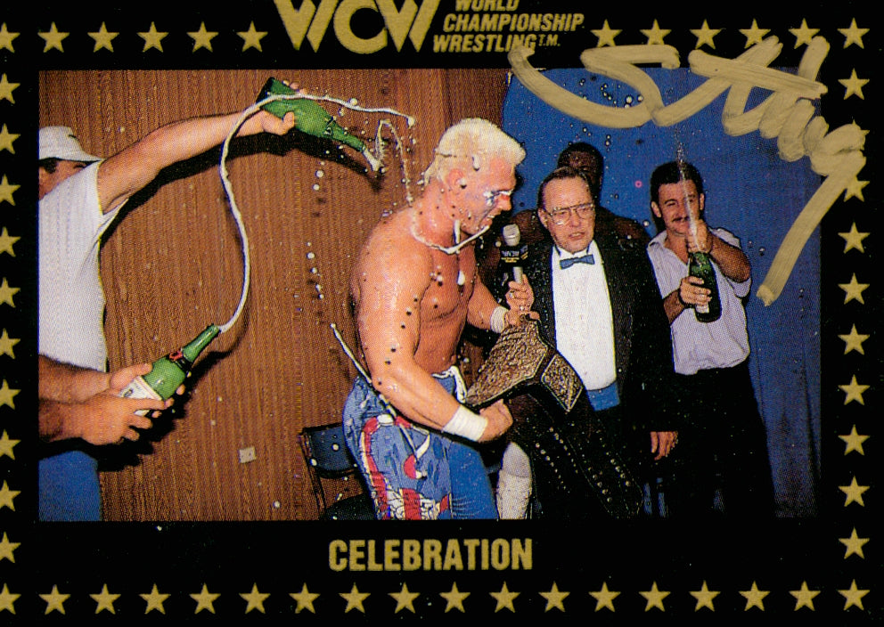 RARE 91 store WCW STING CARD