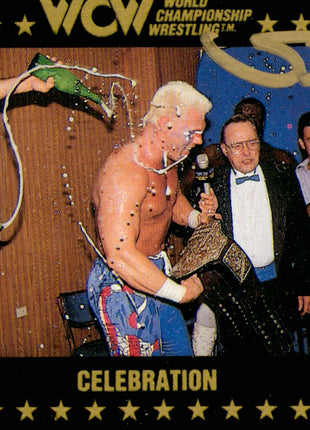Carte à collectionner WCW signée par Sting en 1991