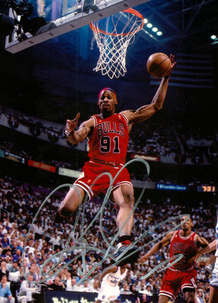 Dennis Rodman (Chicago Bulls) signed 8x10 Photo