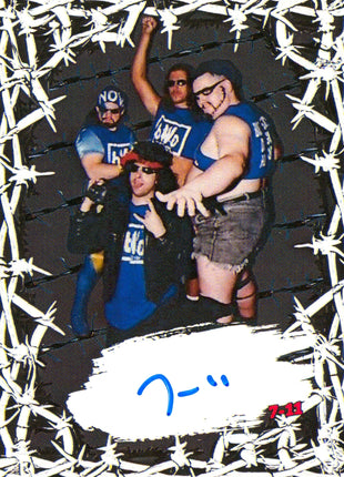 Extreme Wrestlers signed Card Set