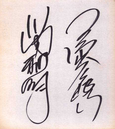 Mitsuharu Miswa & Toshiaki Kawada dual signed Japanese Shikishi Board