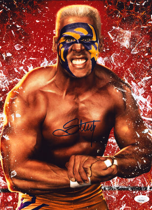 Sting signed 11x14 Photo (w/ JSA)