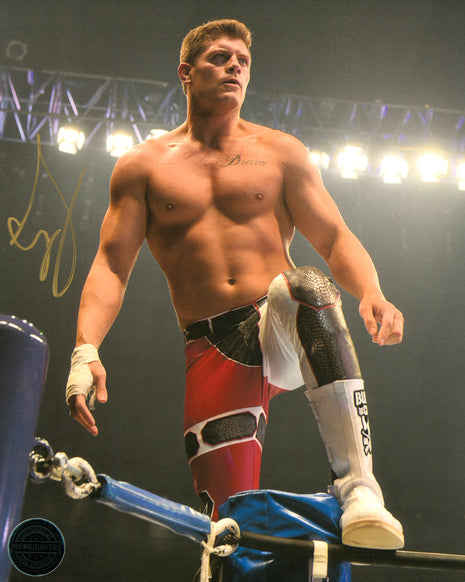 Photo 8x10 signée par Cody Rhodes