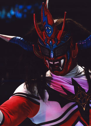Jushin Liger signed 11x17 Photo