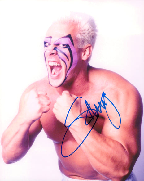Sting signed 8x10 Photo