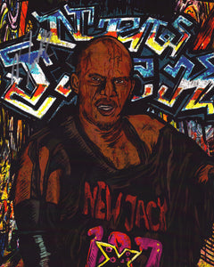 Collection image for: Photos de catch signées 11x17