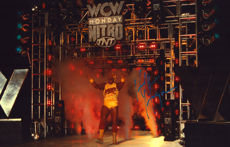 Hulk Hogan signed 11x17 Photo