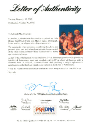 Photo 8x10 signée par Paul Orndorff, Hulk Hogan et Don Muraco (avec PSA)