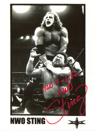 NWO Sting signed 8x10 Photo