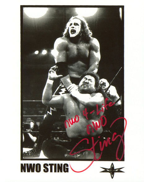 NWO Sting signed 8x10 Photo