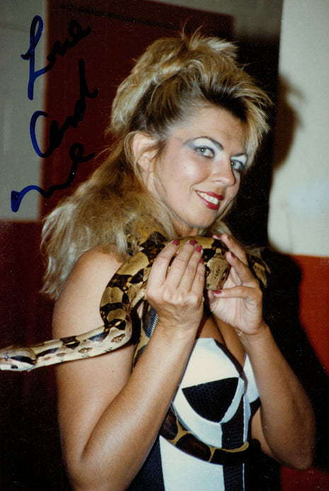 Candi Devine signed 4x6 Photo