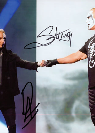 Sting & Darby Allen dual Signed 8x10 Photo
