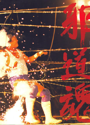 Unsigned FMW Kawasaki Tournament Program 1994