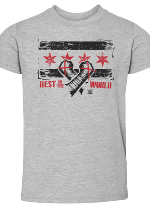 CM Punk Chicago Flag WHT