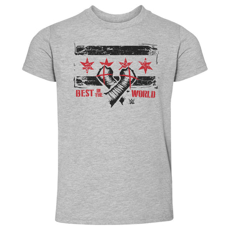 CM Punk Chicago Flag WHT