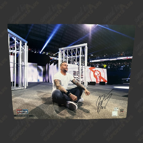 CM Punk signed 16x20 Photo (w/ Fanatics)