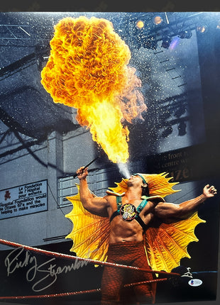 Ricky Steamboat signed 16x20 Photo (w/ Beckett)