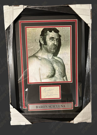 Baron Scicluna signed Framed Plaque