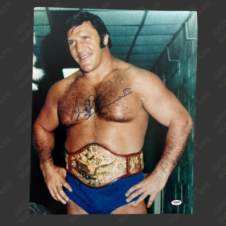 Bruno Sammartino signed 16x20 Photo (w/ PSA)