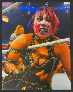 Collection image for: Signed Wrestling Hangable Wall Canvas