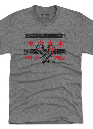 CM Punk Chicago Flag WHT