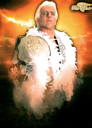 Reserve Autograph - Ric Flair Private Signing (November 2024)