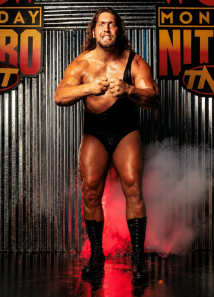 The Giant signed 8x10 Photo #2 (In-studio Signing 9/26/26)