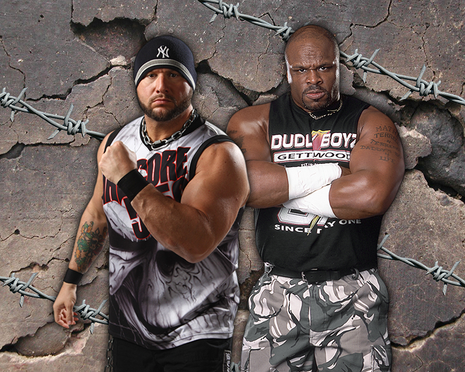 Team 3D- Bully Ray & D-Von: Mail in Your Item (RICC24)