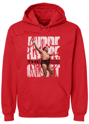 Sweat à capuche pour homme Andre The Giant Celebration WWE
