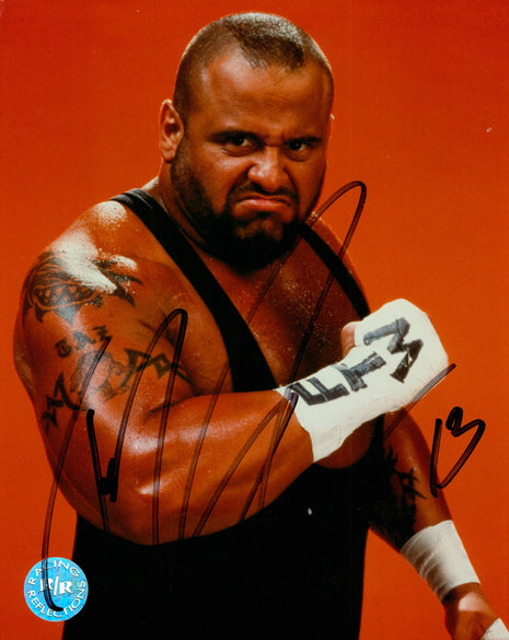 Taz signed 8x10 Photo