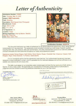 WWE Hell in Cell multi-signed 11x14 Photo (w/ JSA)