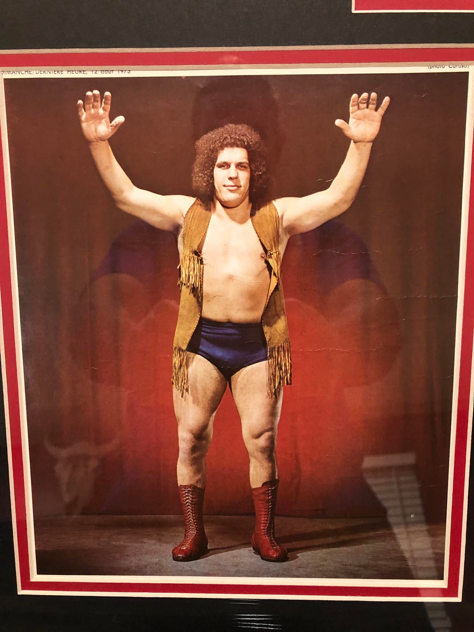 Andre the Giant 23x32 Framed Photo Collection with rookie