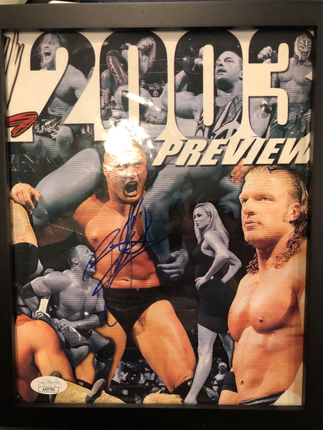 Brock Lesnar signed & framed Program Cover (w/ JSA)