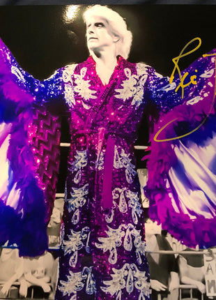 Ric Flair signed Metallic 11x14 Photo (w/ JSA)